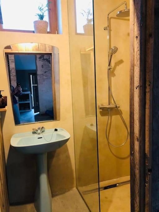Schuurloft Hof Ten Bogaerde Met Biozwembad, Veldzicht & Uilennest Jabbeke  Exterior foto